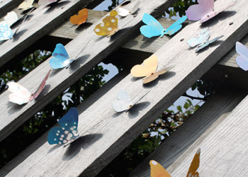 'Kaleidoscope I' Durlston Country Park, Summer 2010